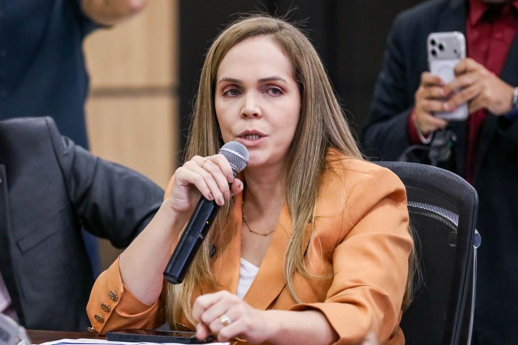 MT se consolidou como um dos principais destinos de investimentos do país, afirma secretária